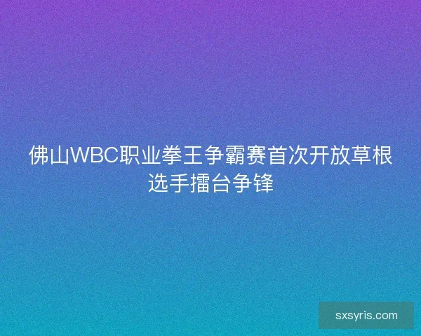 佛山WBC职业拳王争霸赛首次开放草根选手擂台争锋